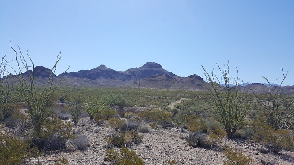 40 acres in Brewster County - photo 4