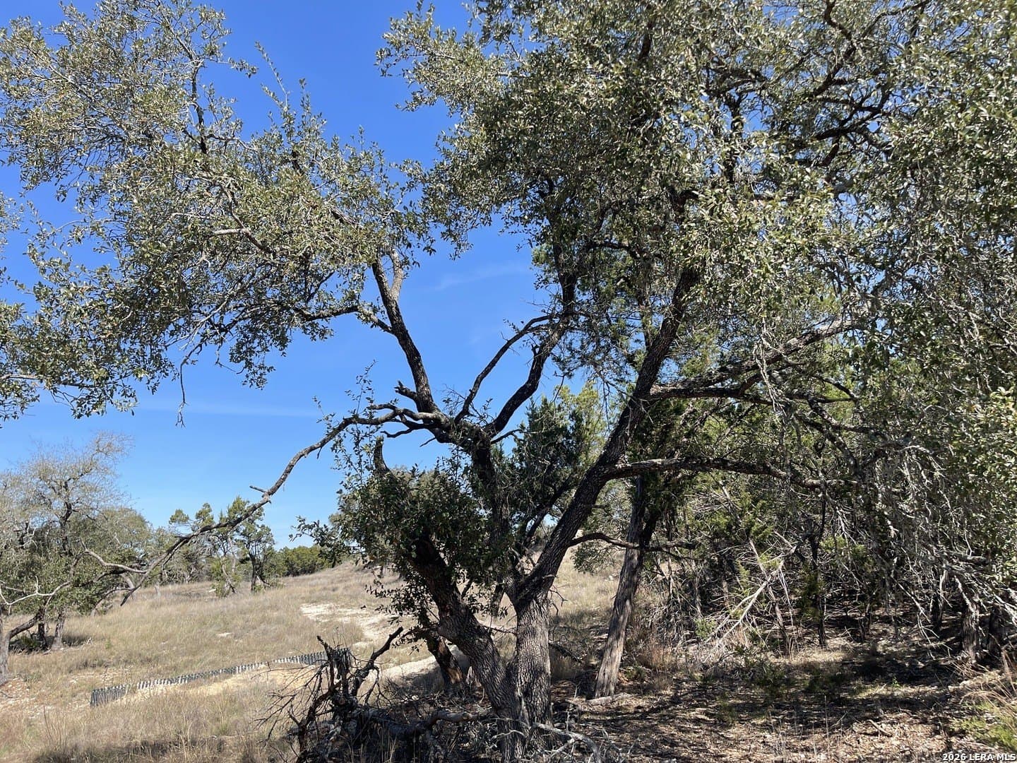3.86 acres in Comal County - photo 2
