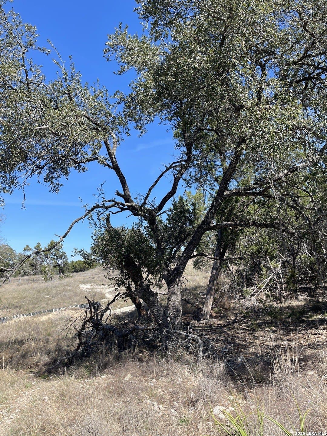 3.86 acres in Comal County - photo 10