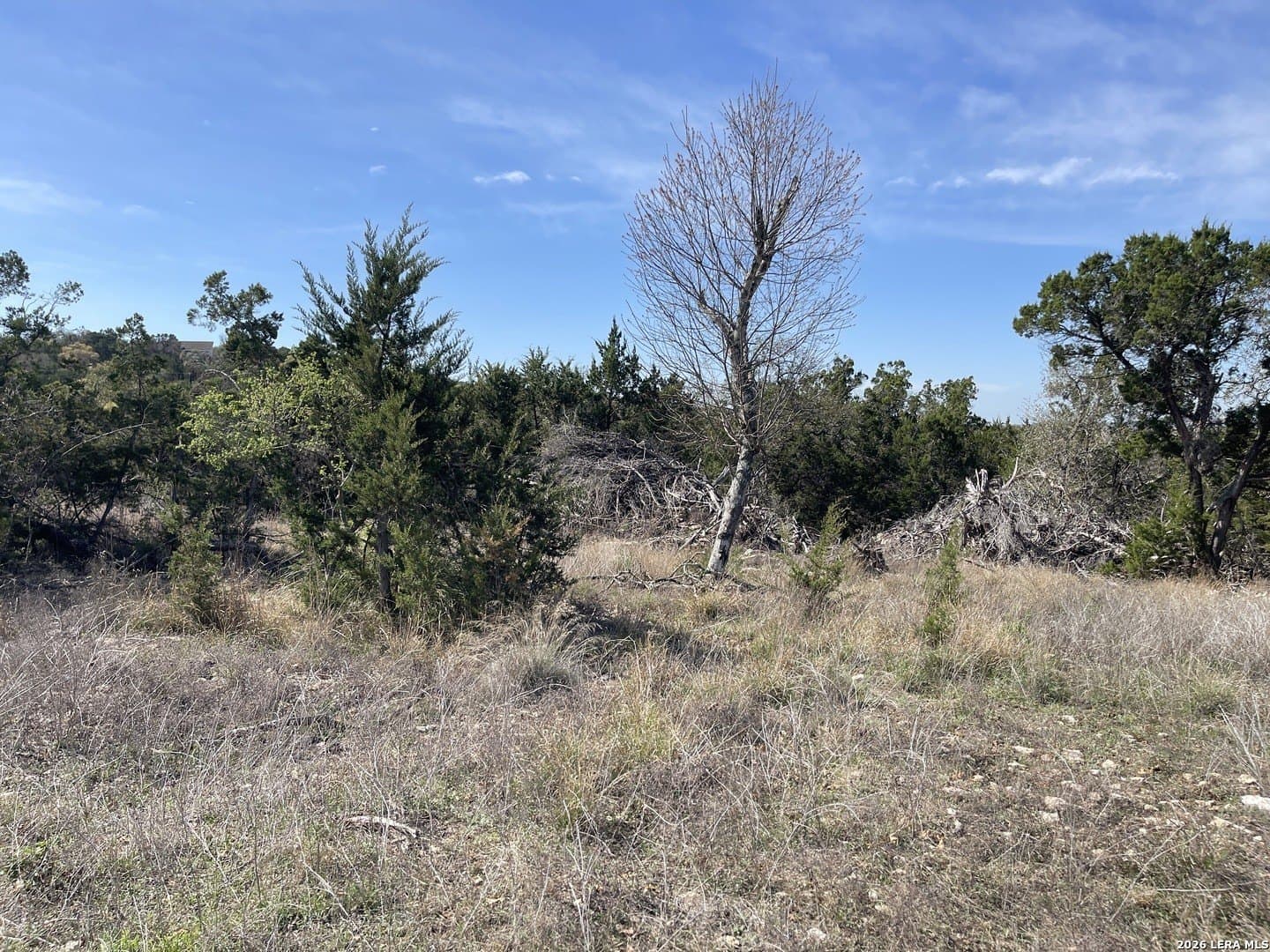 3.86 acres in Comal County - photo 8