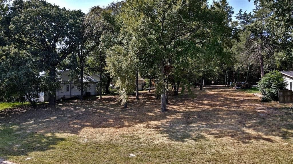 0.56 acres in Henderson County - photo 6