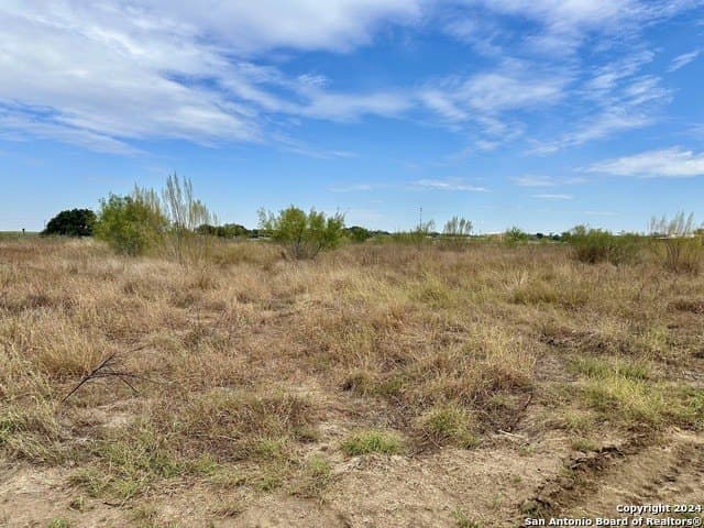 10 acres in Atascosa County - photo 4