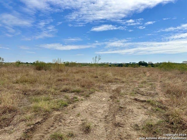 10 acres in Atascosa County - photo 3