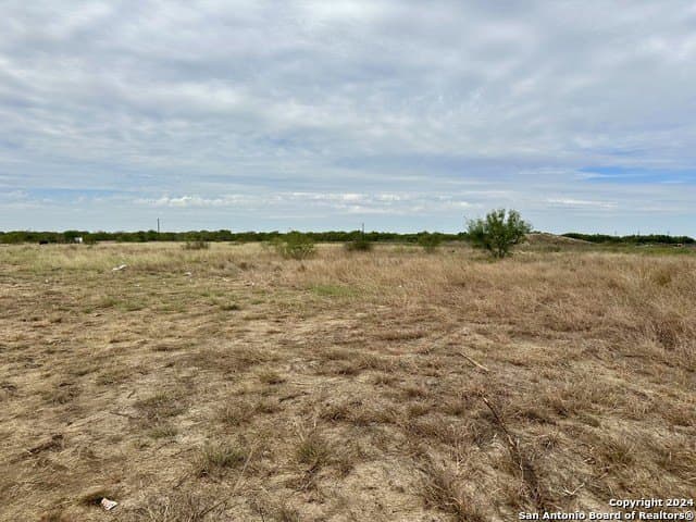 10 acres in Atascosa County - photo 2