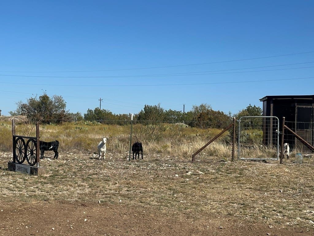 10 acres in Tom Green County - photo 33