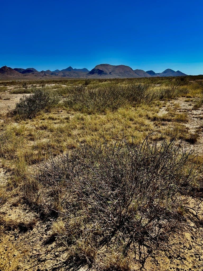 10 acres in Brewster County - photo 5