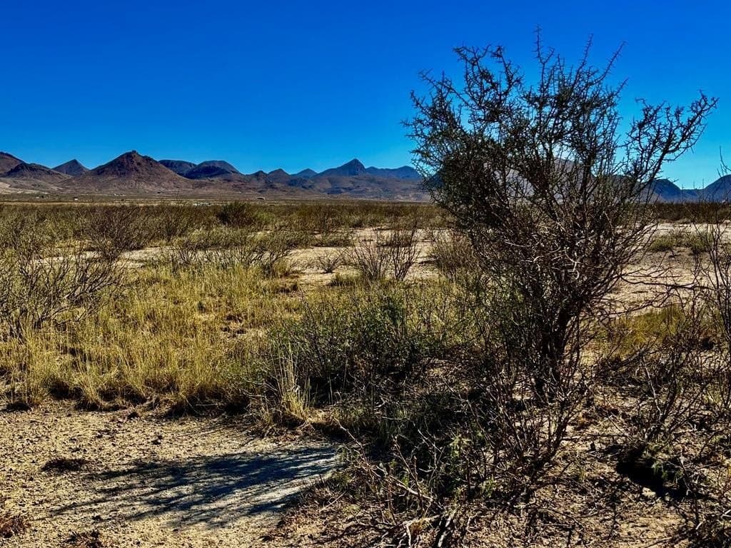 10 acres in Brewster County - photo 2