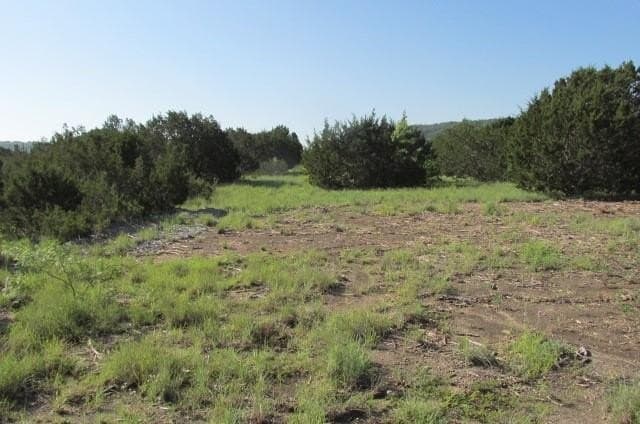 12 acres in Hamilton County - photo 11