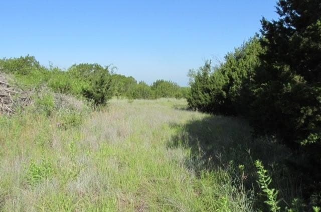 12 acres in Hamilton County - photo 9