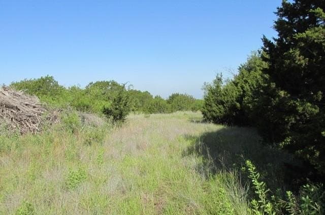 12 acres in Hamilton County - photo 7