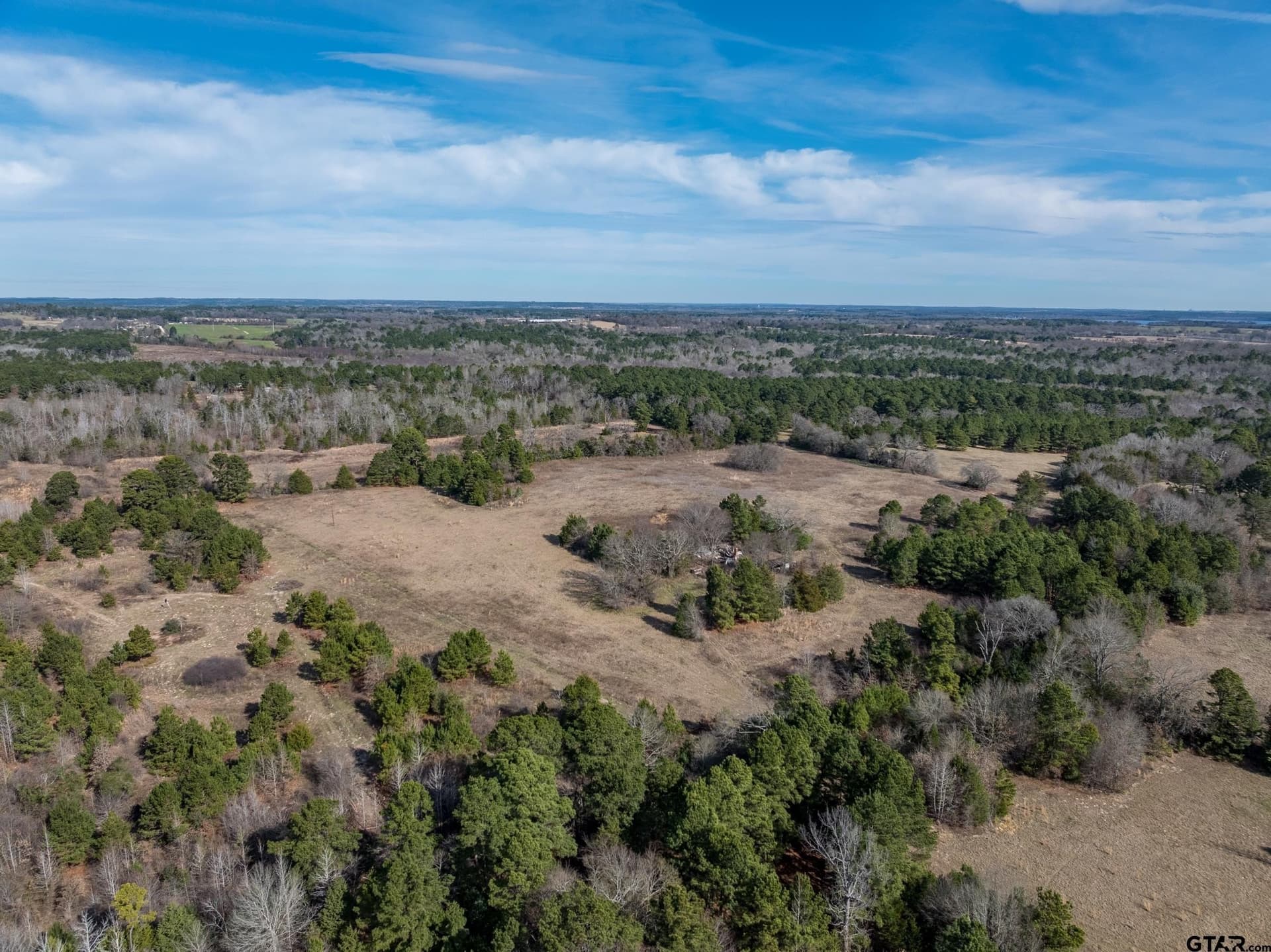16.85 acres in Henderson County - photo 6