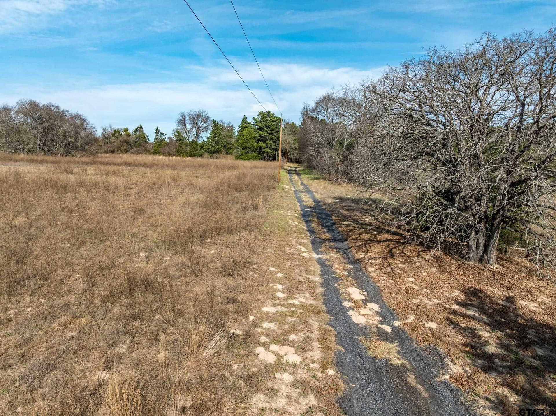 16.85 acres in Henderson County - photo 8