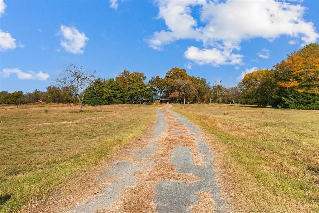 55 acres in Fannin County - photo 10