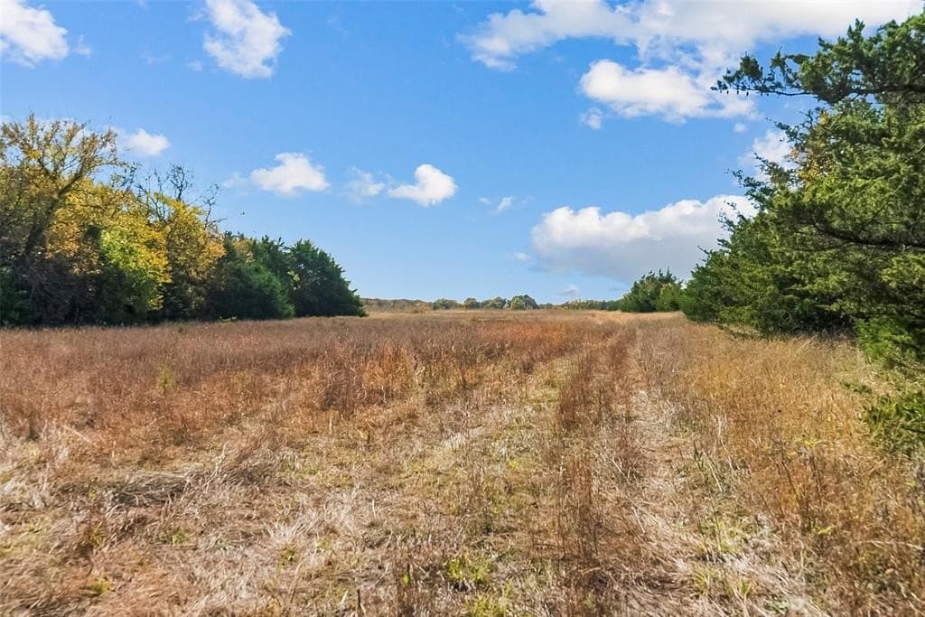 55 acres in Fannin County - photo 7
