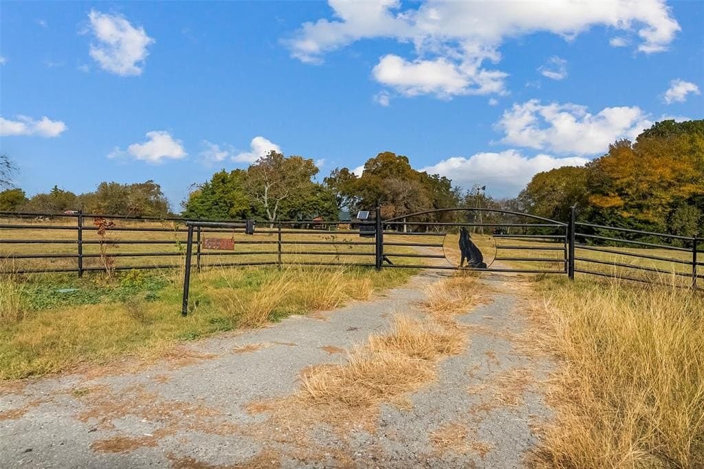 55 acres in Fannin County - photo 3