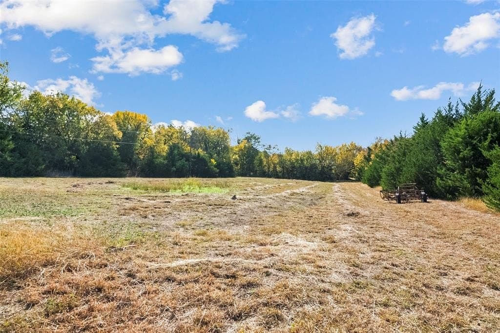 55 acres in Fannin County - photo 9