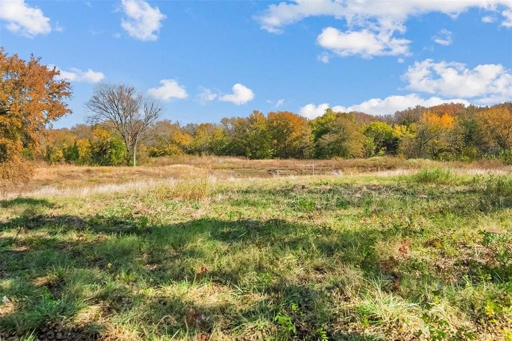 55 acres in Fannin County - photo 6
