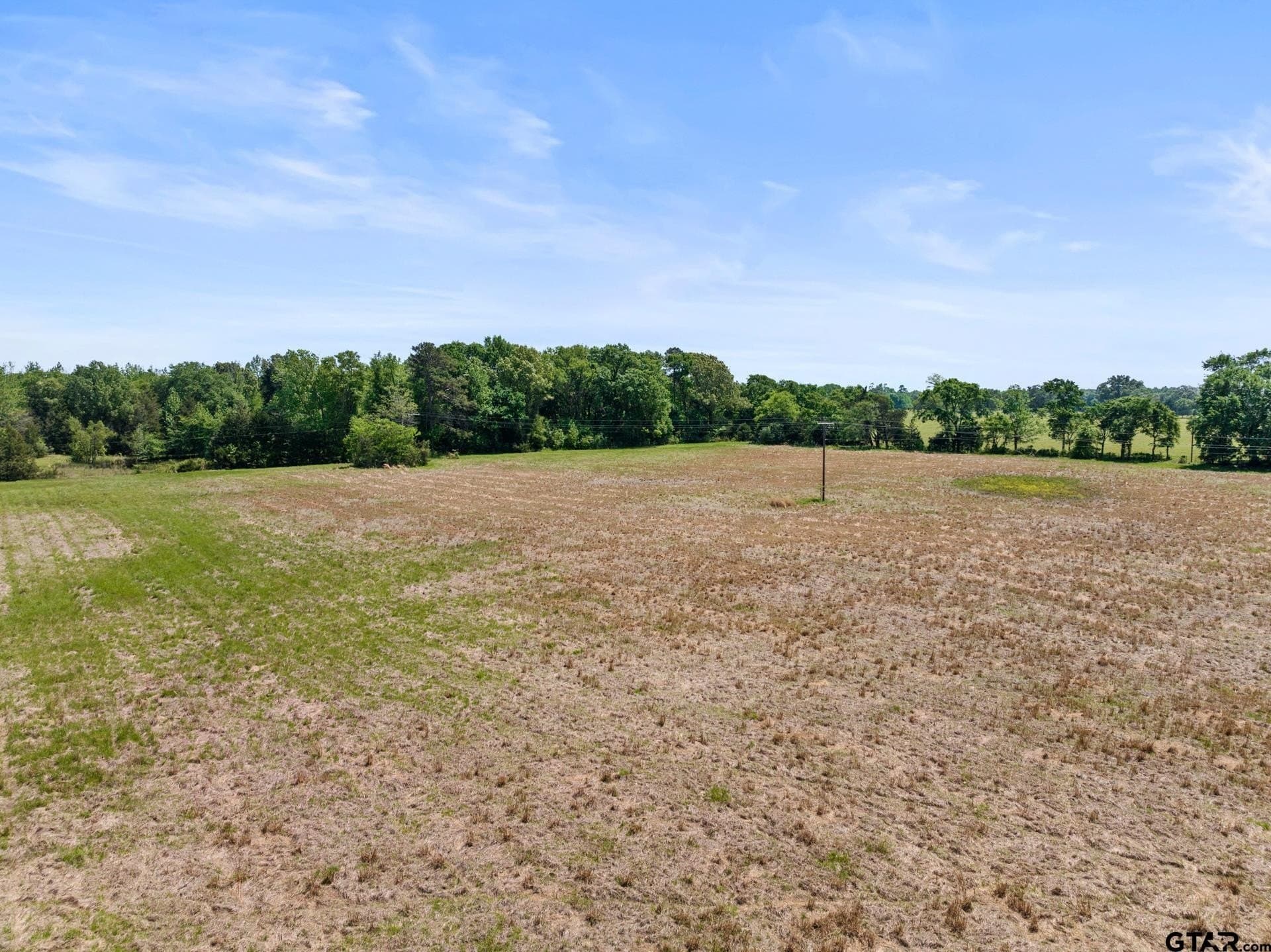 10 acres in Camp County - photo 3