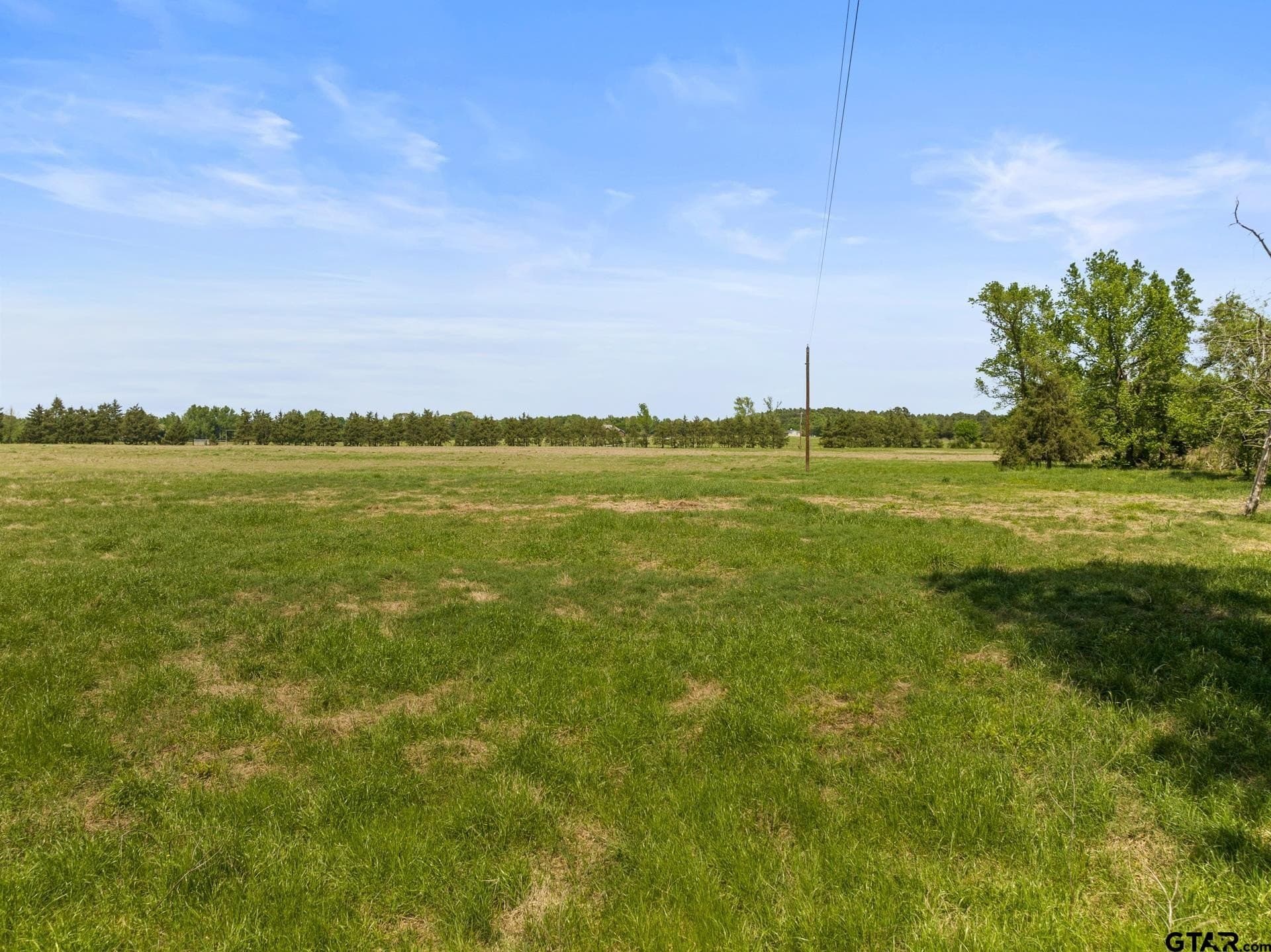 10 acres in Camp County - photo 2