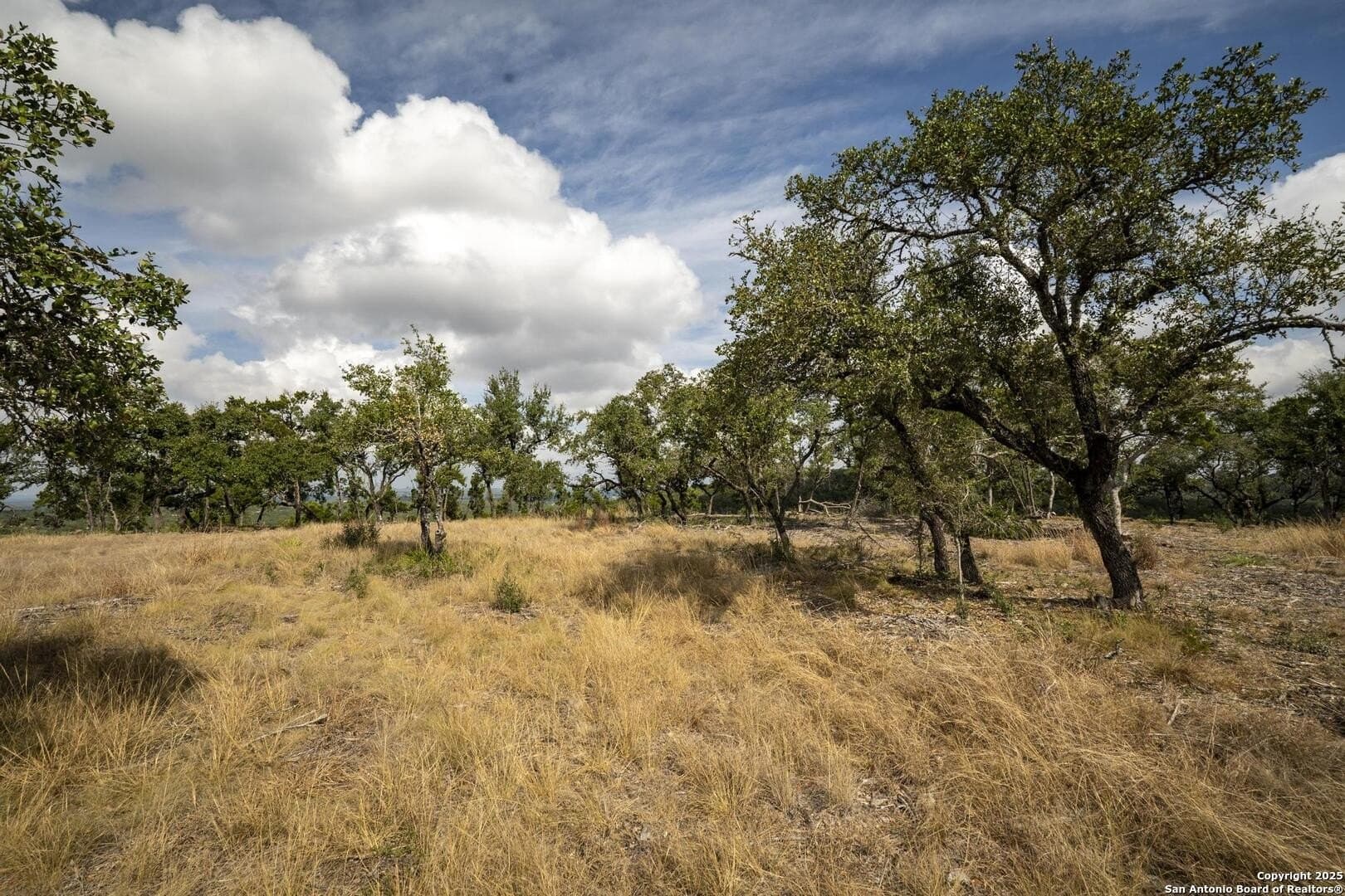 7.01 acres in Comal County - photo 22
