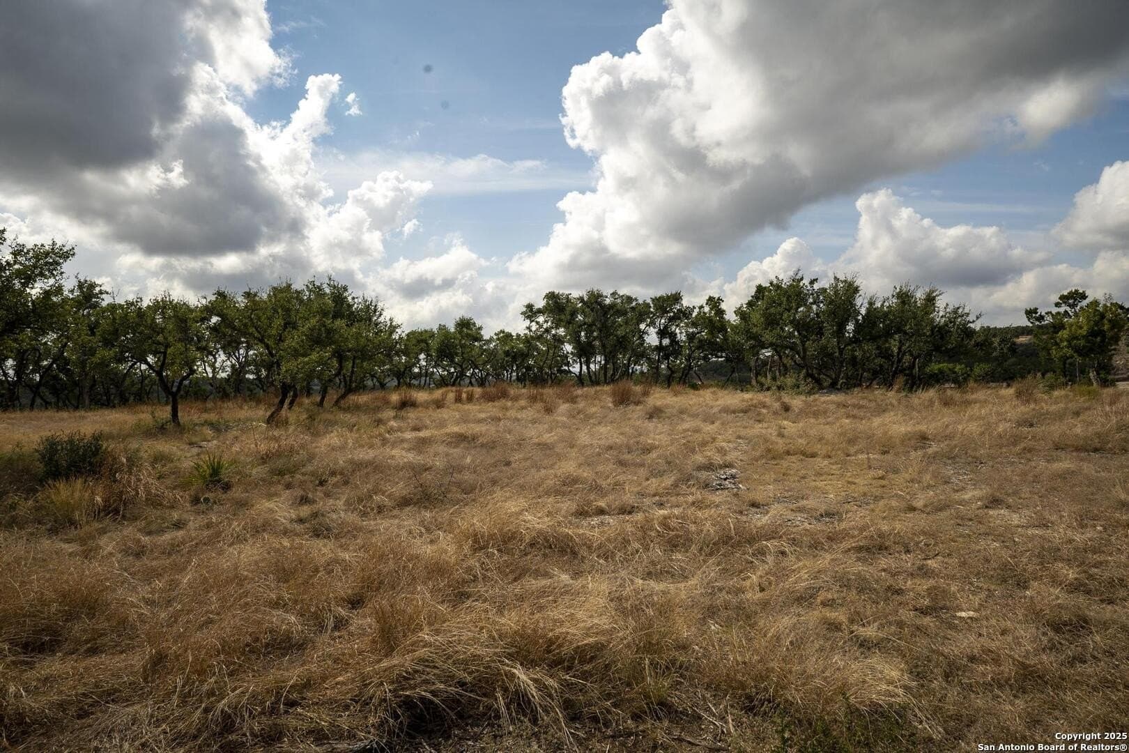 7.01 acres in Comal County - photo 31
