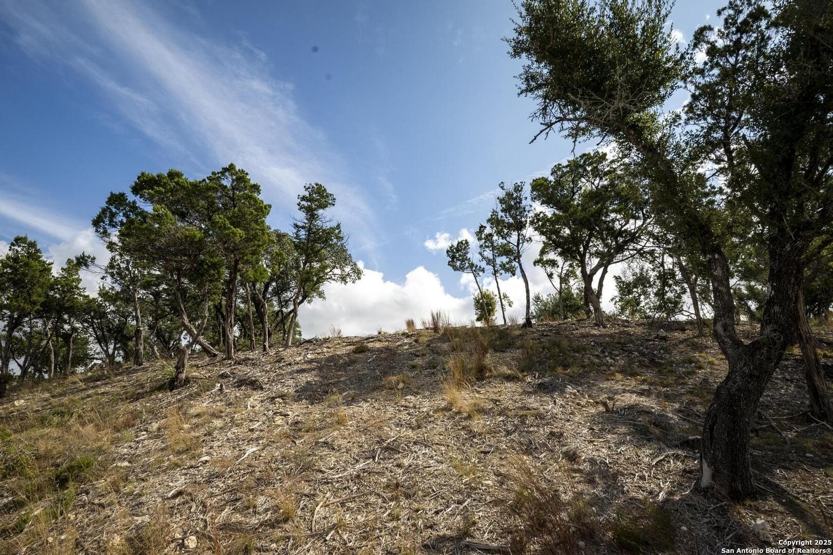 7.01 acres in Comal County - photo 10