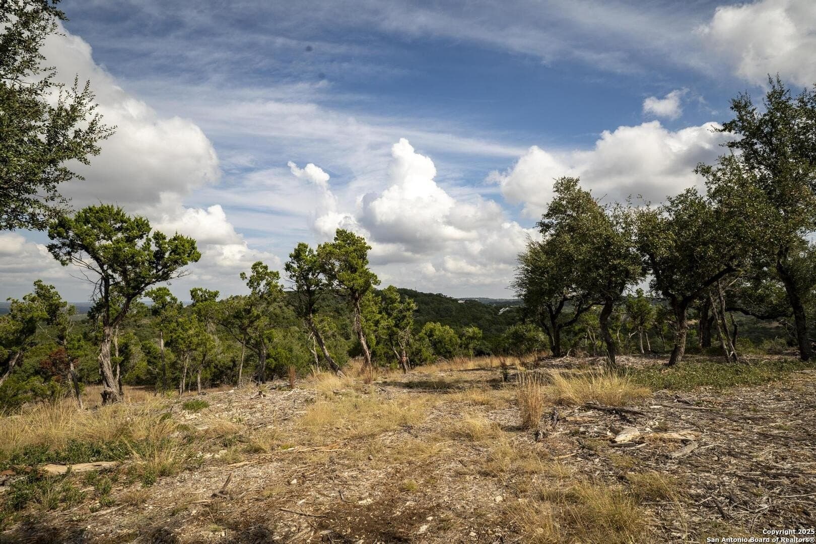 7.01 acres in Comal County - photo 25
