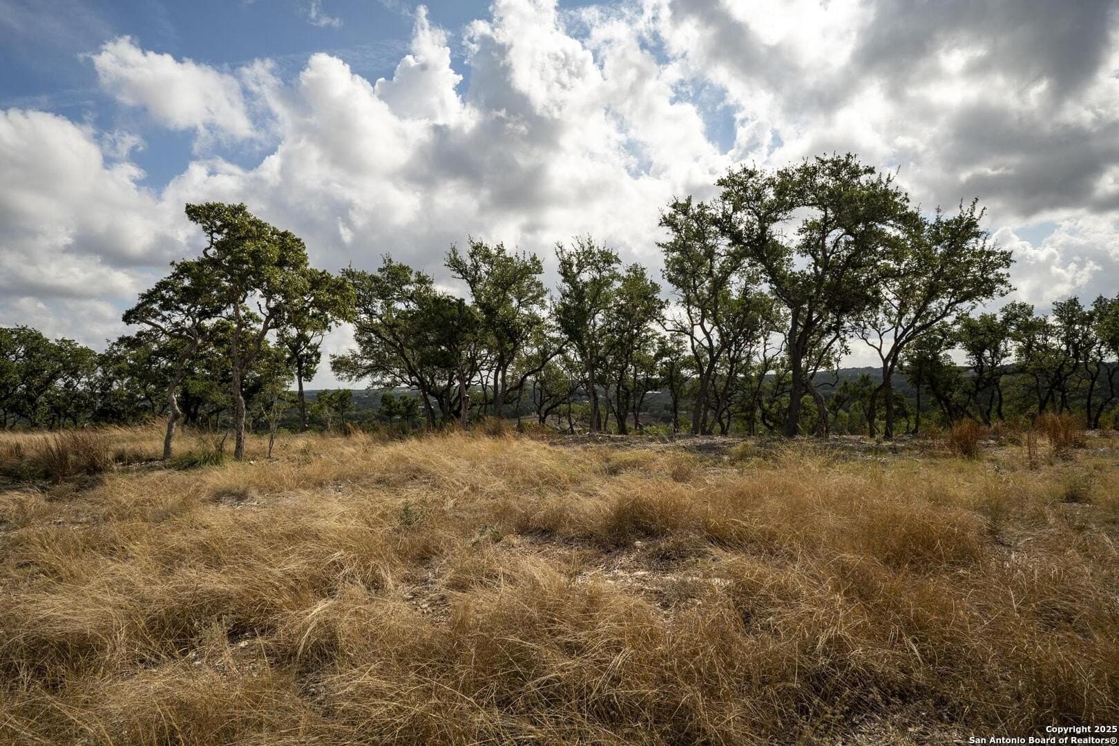 7.01 acres in Comal County - photo 17