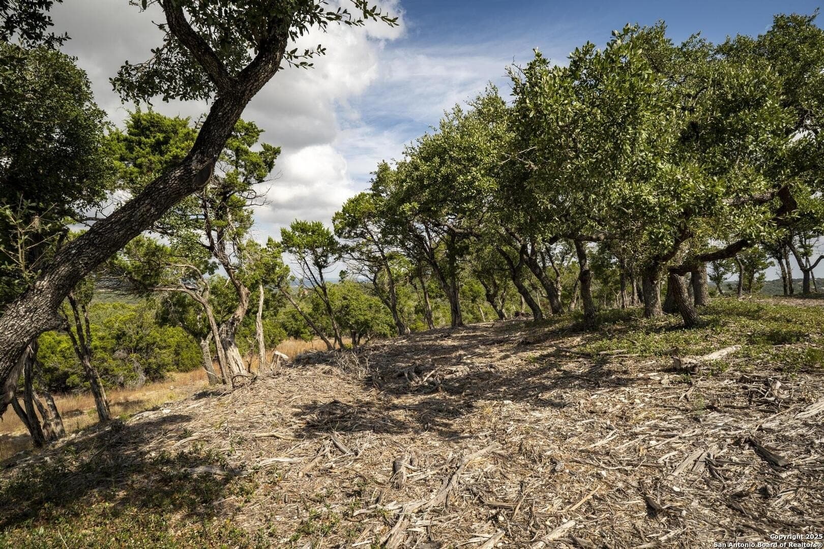 7.01 acres in Comal County - photo 14