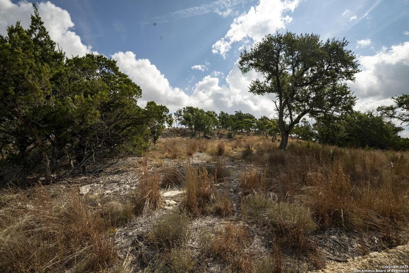 7.01 acres in Comal County - photo 7