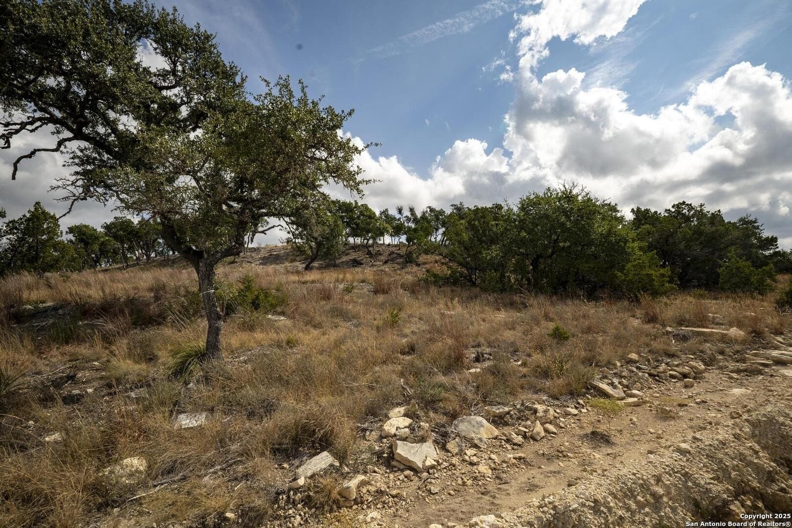7.01 acres in Comal County - photo 8