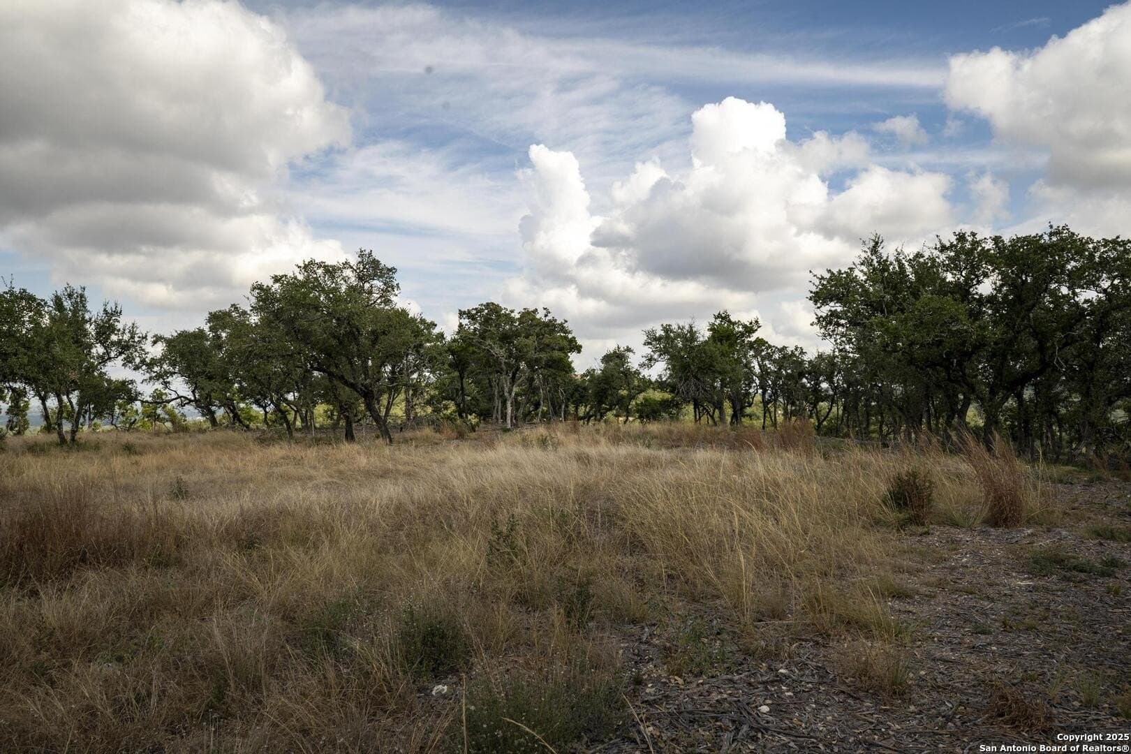 7.01 acres in Comal County - photo 20
