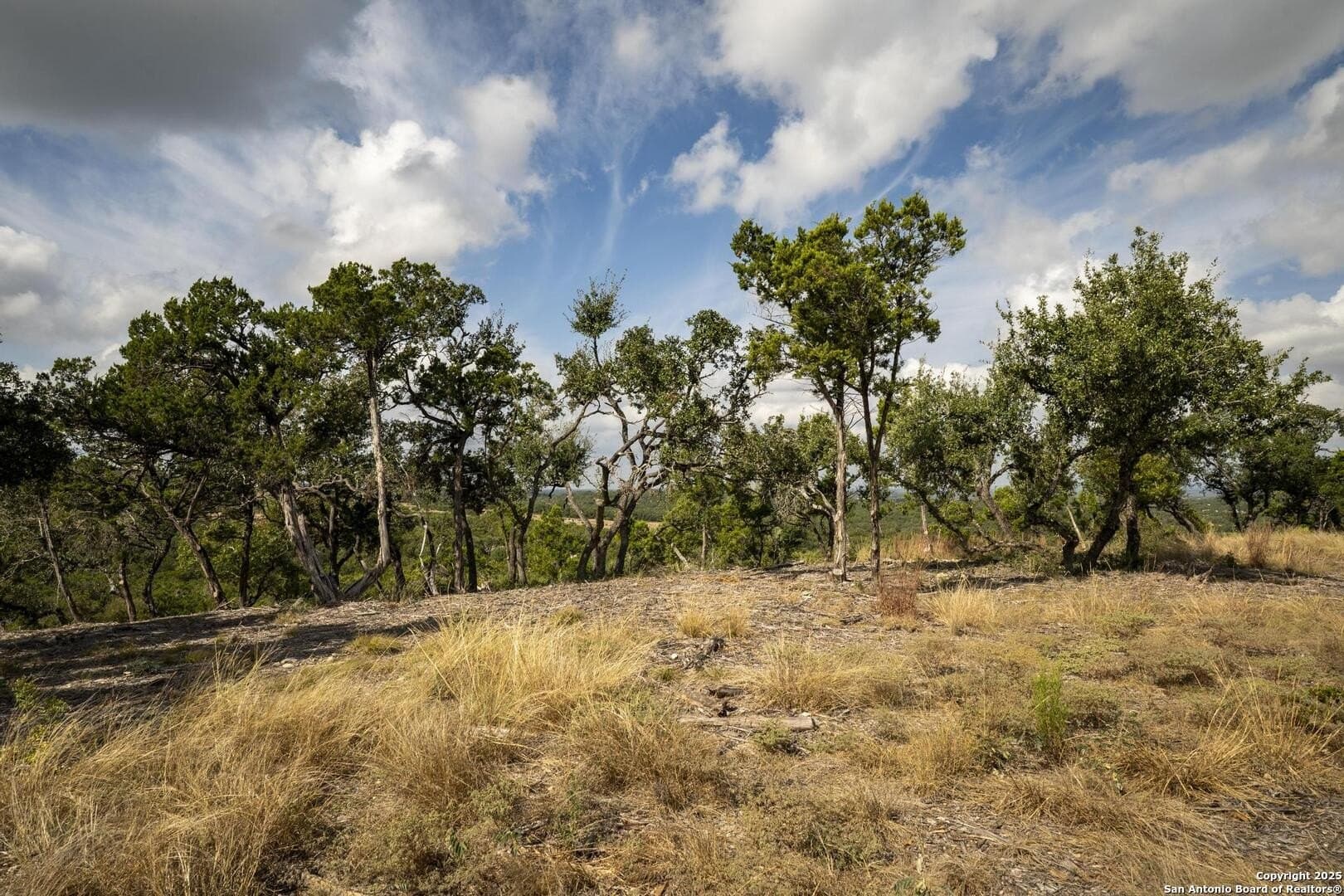7.01 acres in Comal County - photo 19