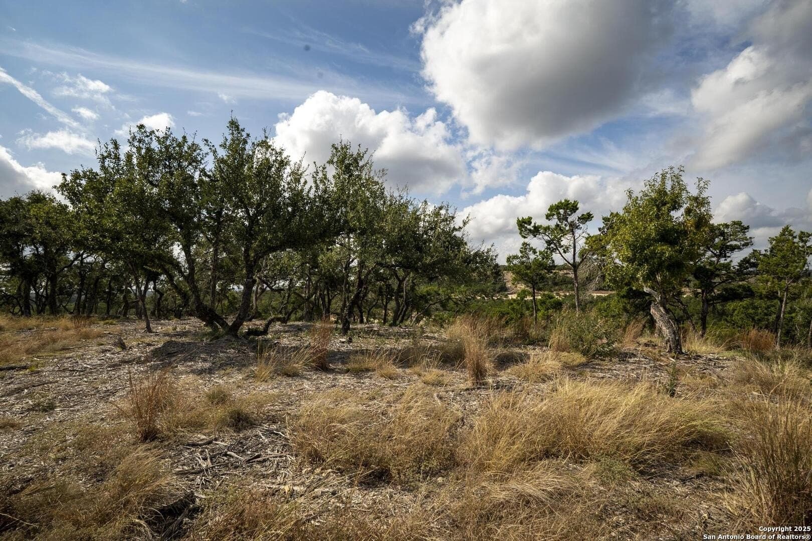 7.01 acres in Comal County - photo 15