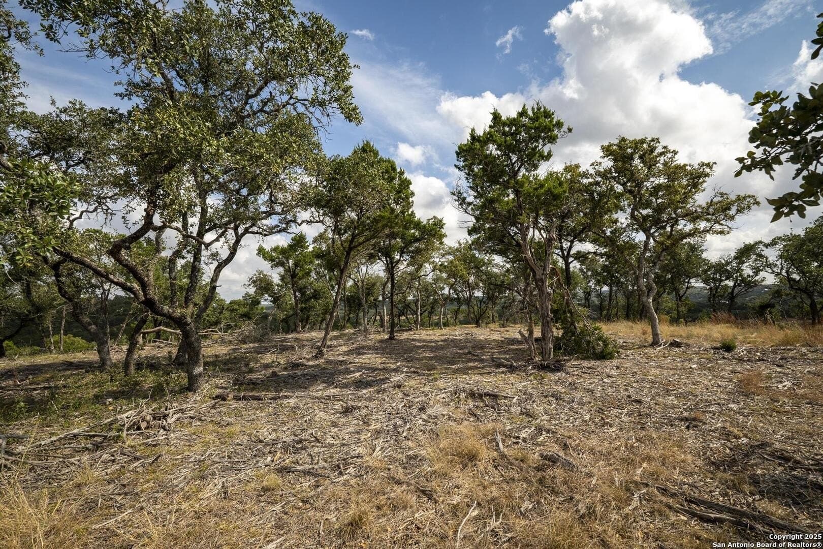 7.01 acres in Comal County - photo 23