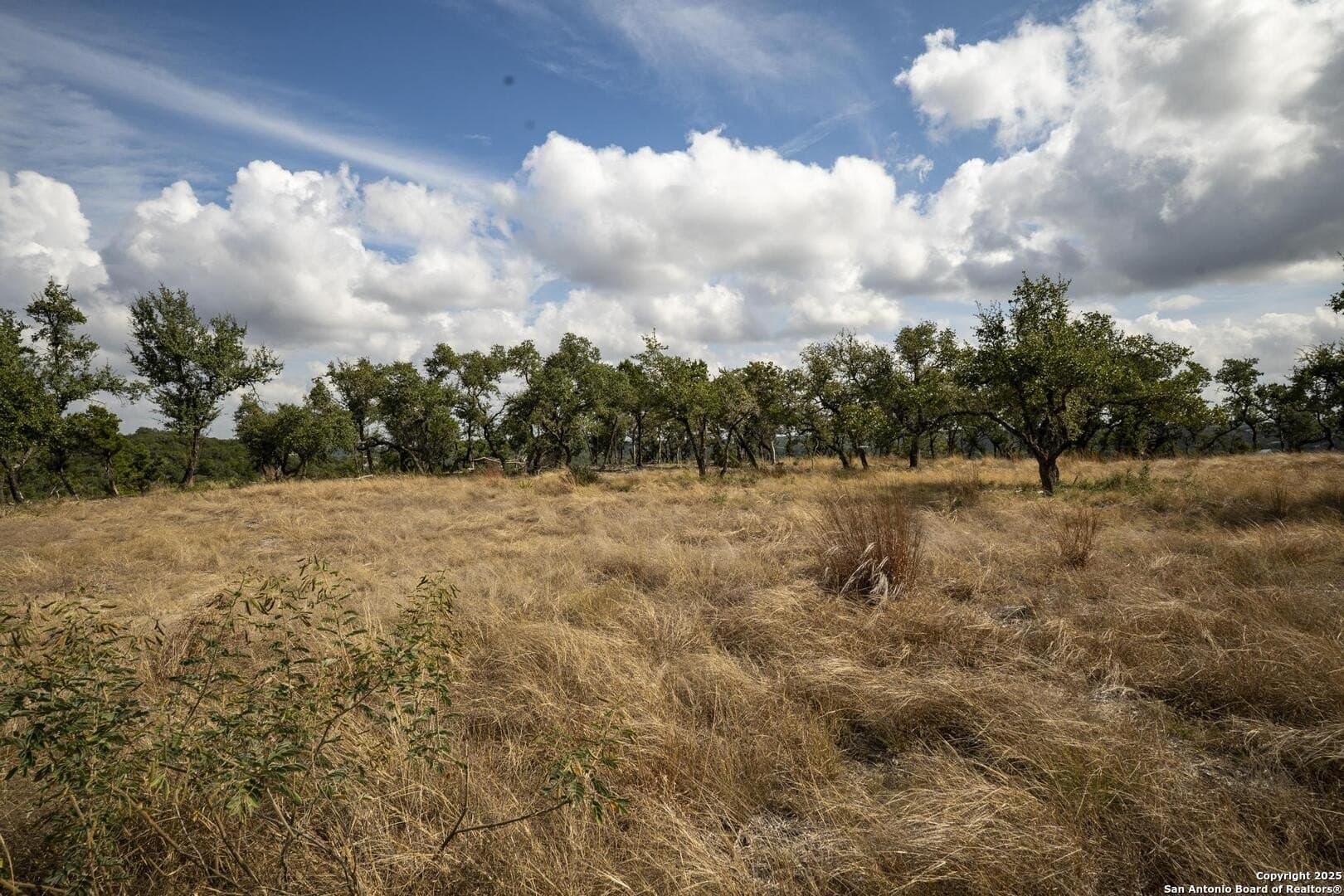 7.01 acres in Comal County - photo 16