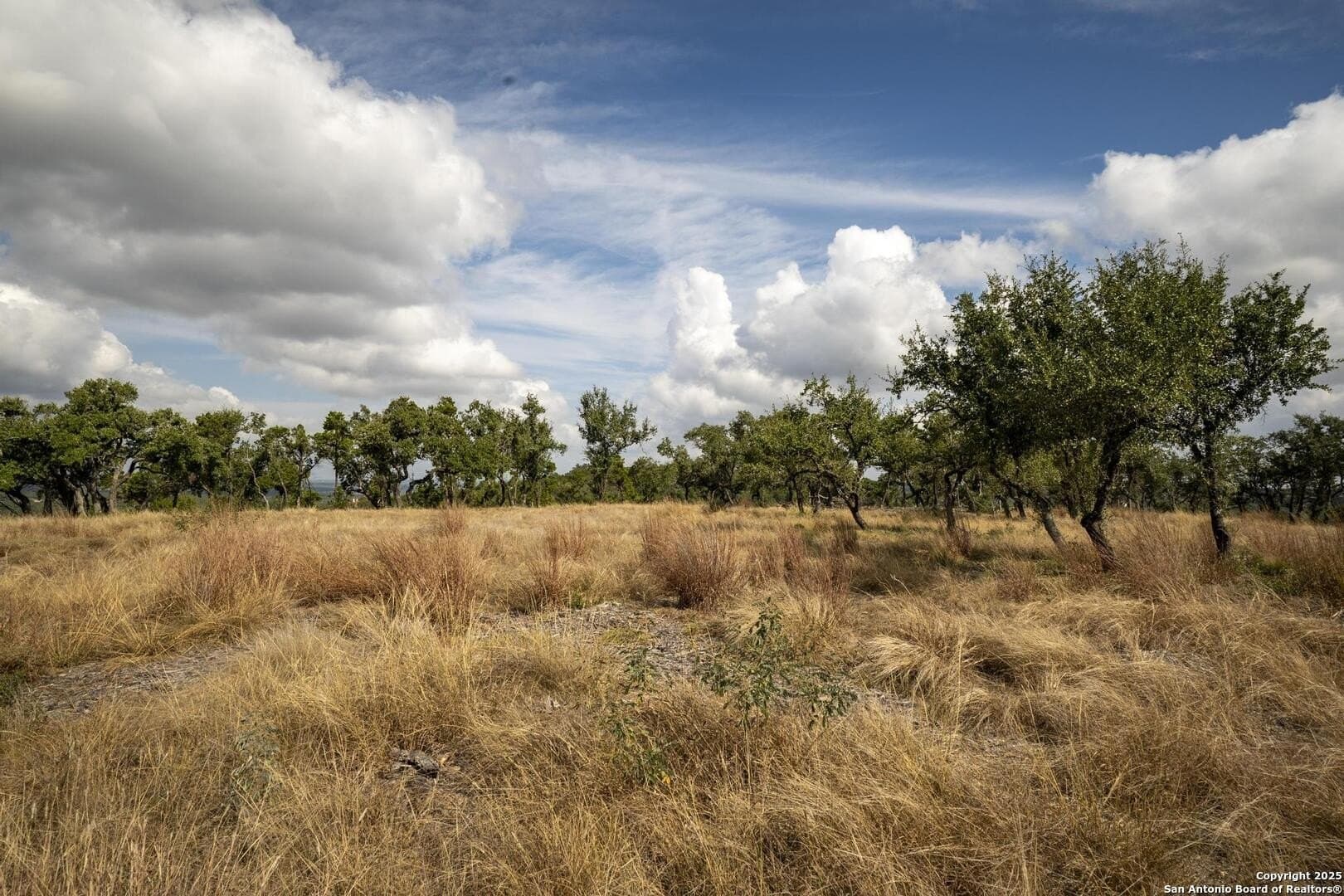 7.01 acres in Comal County - photo 18