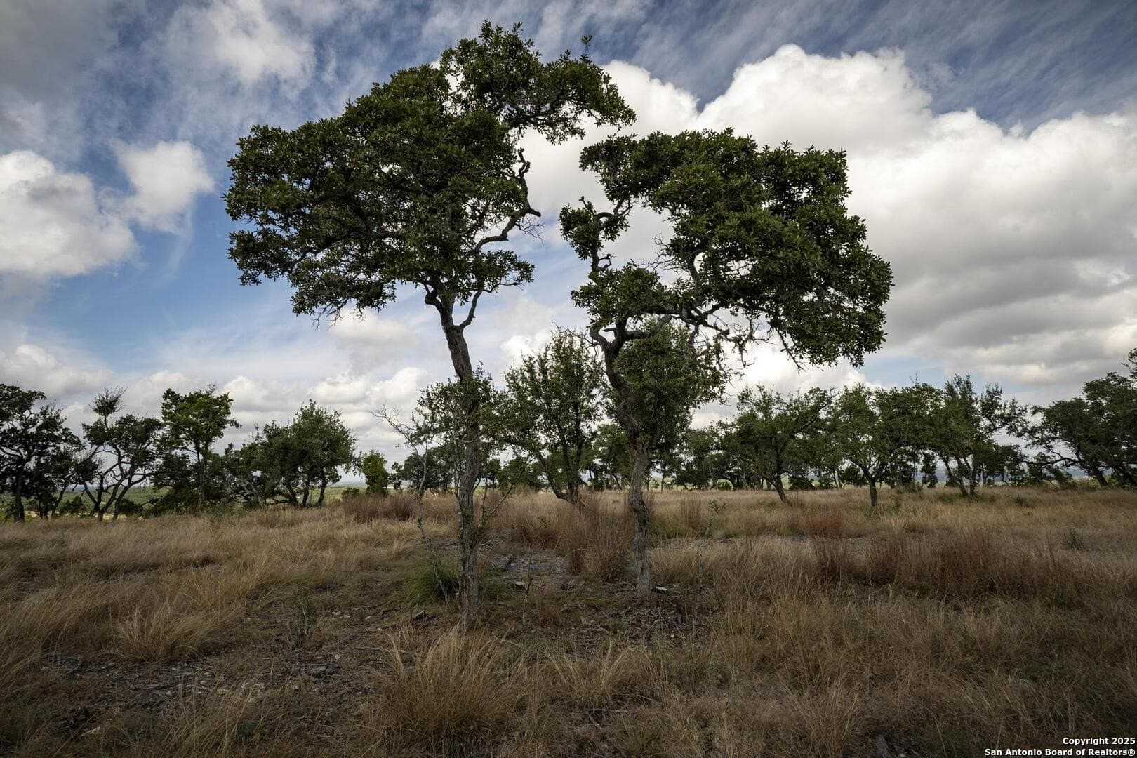 7.01 acres in Comal County - photo 21