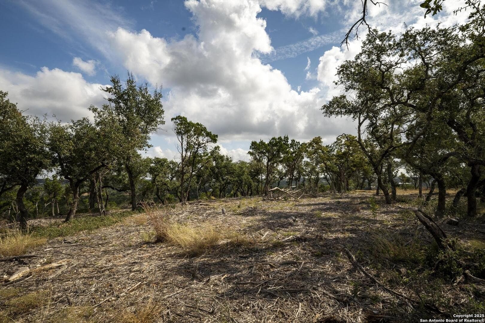 7.01 acres in Comal County - photo 24