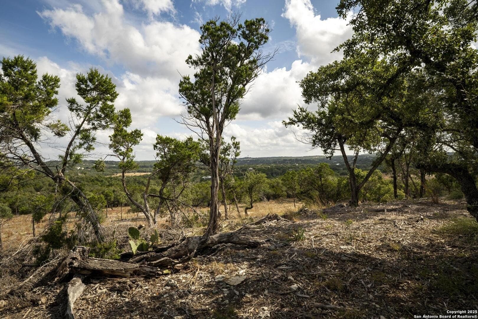7.01 acres in Comal County - photo 30