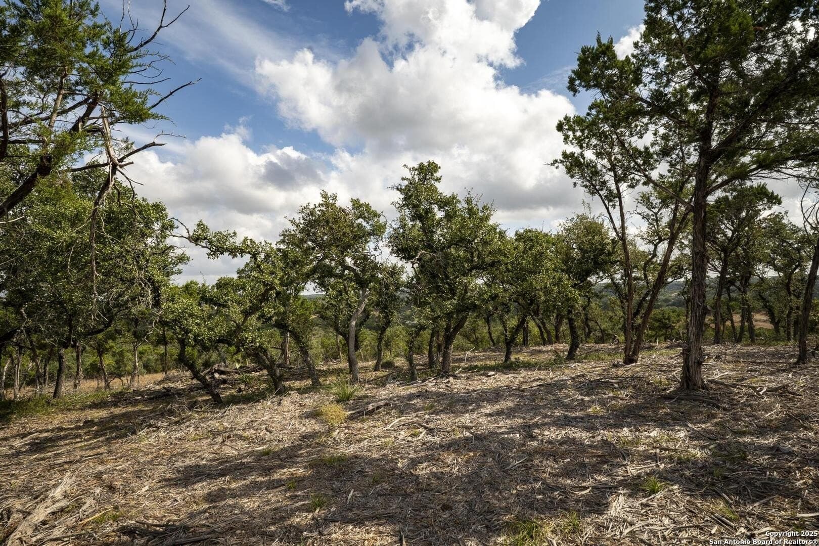 7.01 acres in Comal County - photo 26