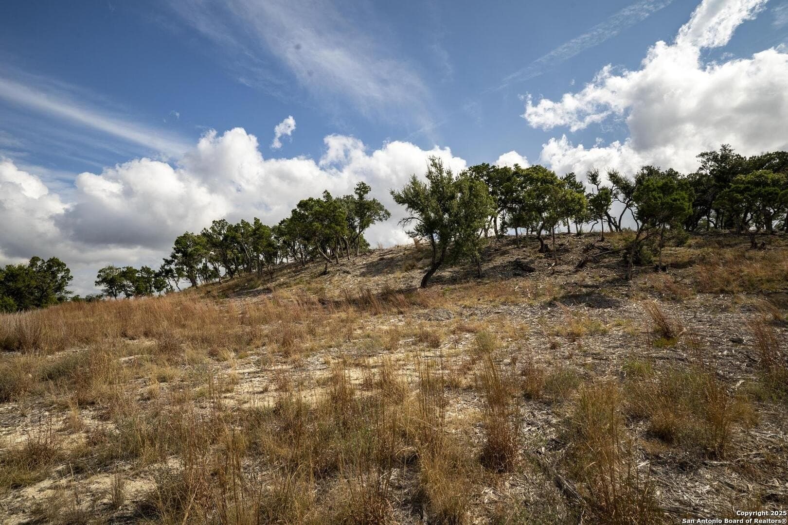 7.01 acres in Comal County - photo 9