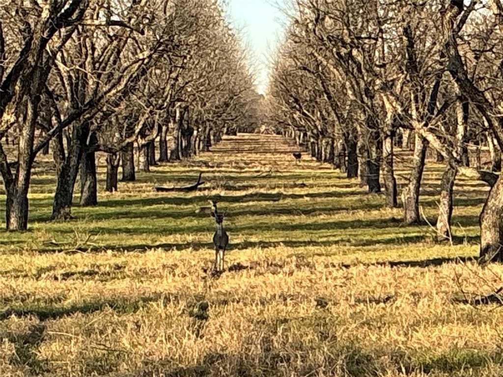3.05 acres in Johnson County - photo 3