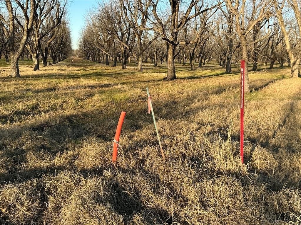 3.05 acres in Johnson County - photo 5