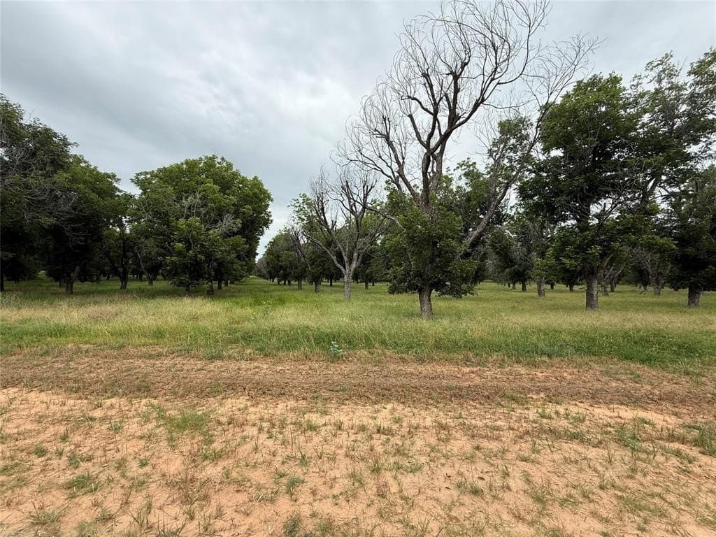 3.05 acres in Johnson County - photo 7