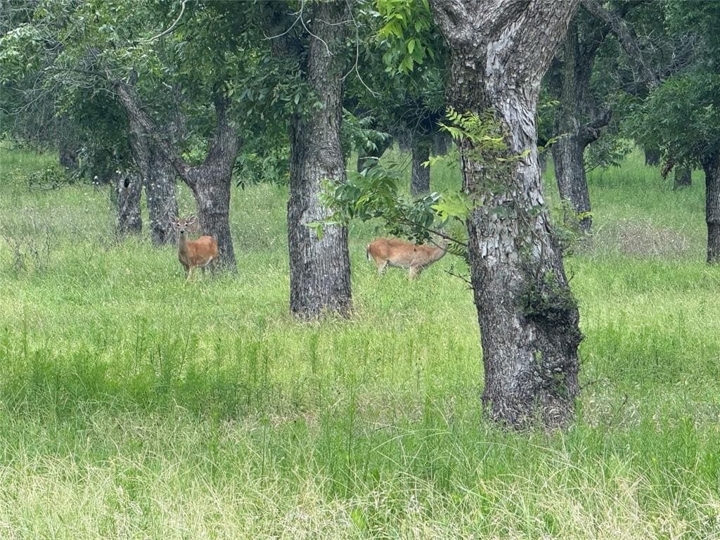 3.05 acres in Johnson County - photo 2