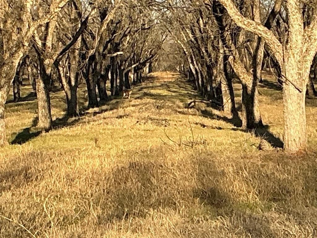 3.05 acres in Johnson County - photo 4