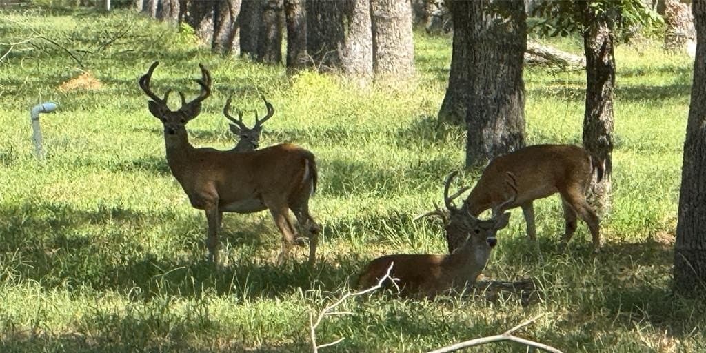 3.05 acres in Johnson County - photo 8