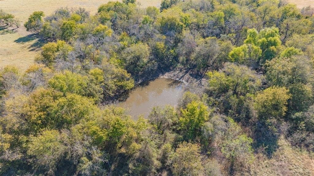 29.54 acres in Erath County - photo 17