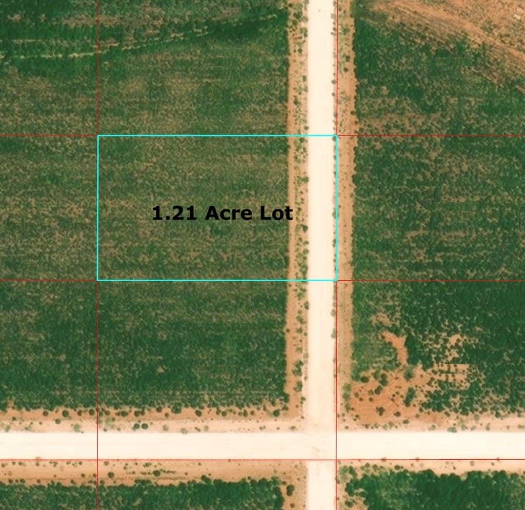 1.21 acres in Gaines County - photo 2